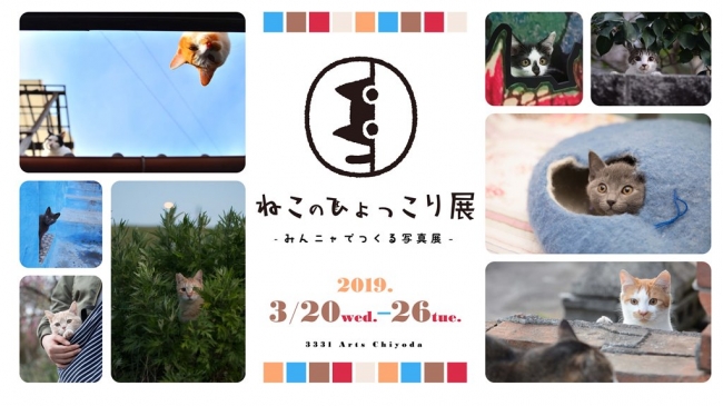 ねこのひょっこり展 ねこのひょっこり展