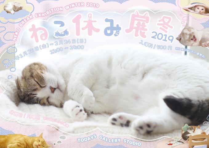 猫の合同写真展&物販展「ねこ休み展 冬 2019」 猫の合同写真展&物販展「ねこ休み展 冬 2019」