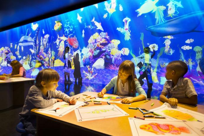 チームラボ お絵かき水族館 チームラボ お絵かき水族館