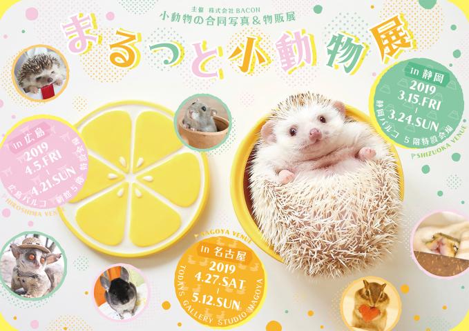 小動物の合同写真&物販展「まるっと小動物展 in 静岡」 小動物の合同写真&物販展「まるっと小動物展 in 静岡」