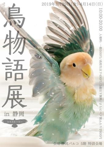 鳥の合同写真＆物販展「鳥物語トリストーリー展 in 静岡」