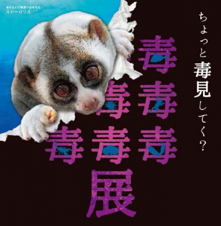 毒毒毒毒毒毒毒毒毒展(もうどく展) 毒毒毒毒毒毒毒毒毒展(もうどく展)