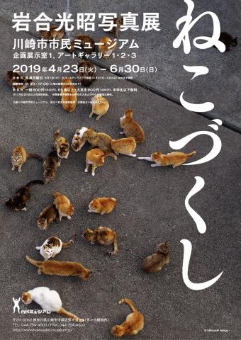岩合光昭写真展 ねこづくし 岩合光昭写真展 ねこづくし