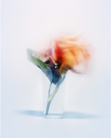 宇禄 「かさね」写真展 宇禄 「かさね」写真展