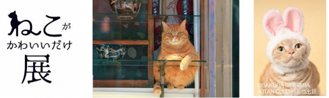 ねこがかわいいだけ展 ねこがかわいいだけ展