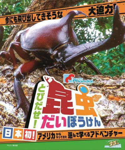 マンダイプレゼンツとびだせ!昆虫だいぼうけん マンダイプレゼンツとびだせ!昆虫だいぼうけん