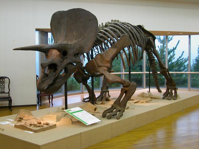 夏季特別展 「恐竜ワールド~生物進化の大冒険~」 夏季特別展 「恐竜ワールド~生物進化の大冒険~」