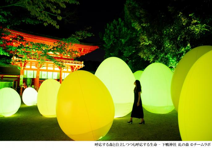下鴨神社 糺の森の光の祭 Art by teamLab ‐ TOKIO インカラミ 下鴨神社 糺の森の光の祭 Art by teamLab ‐ TOKIO インカラミ