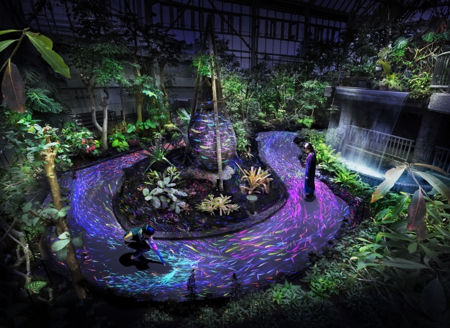 チームラボ 宇部市ときわ公園 2019 世界を旅する植物館 水の道 光の道 チームラボ 宇部市ときわ公園 2019 世界を旅する植物館 水の道 光の道