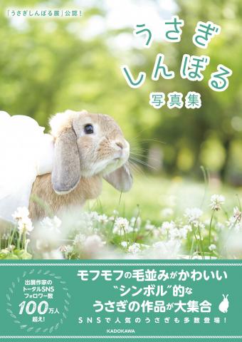 うさぎの合同写真＆物販展「うさぎしんぼる展 2019」