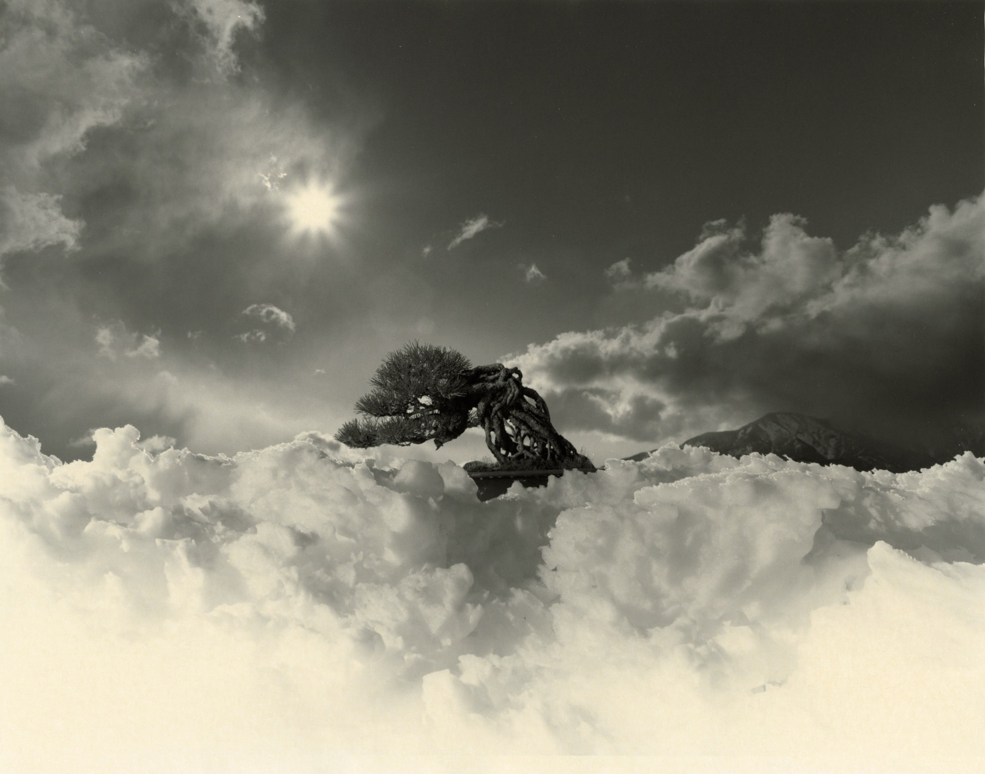 山本昌男「手中一滴」 | ShareArt