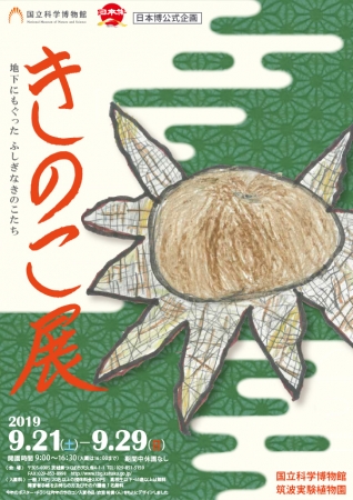 企画展「きのこ展～地下にもぐったふしぎなきのこたち～」