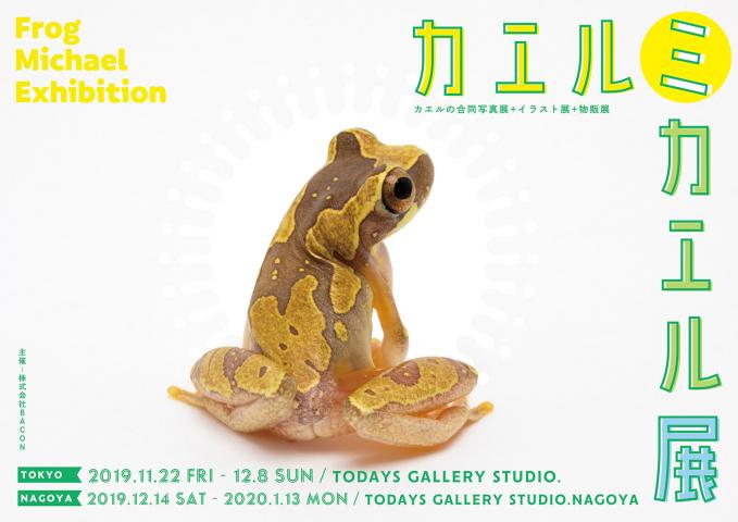 蛙の合同写真展＆イラスト展＆物販展「カエルミカエル展 in 名古屋」