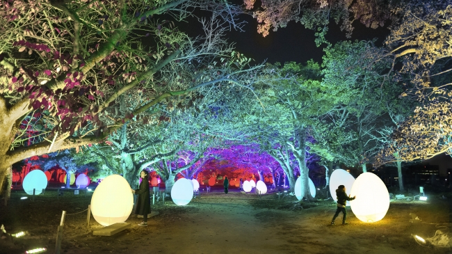 チームラボ 福岡城跡 光の祭 2019-2020 チームラボ 福岡城跡 光の祭 2019-2020