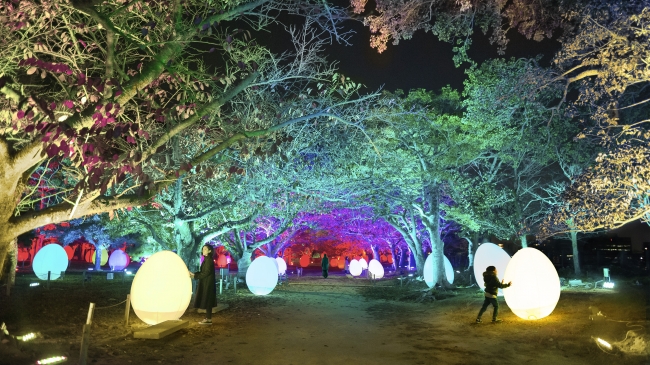 チームラボ 福岡城跡 光の祭 2019-2020