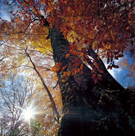 第15回美しい風景写真100人展 第15回美しい風景写真100人展