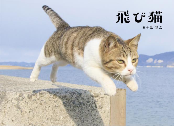 “猫専門カメラマン”五十嵐健太の「飛び猫写真展」