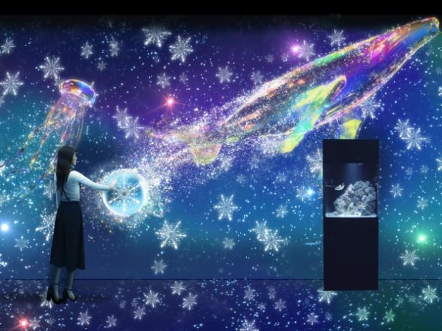 NAKED SNOW AQUARIUM NAKED SNOW AQUARIUM