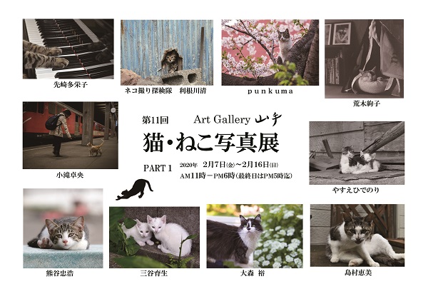 第11回　猫・ねこ写真展　ｐａｒｔ１