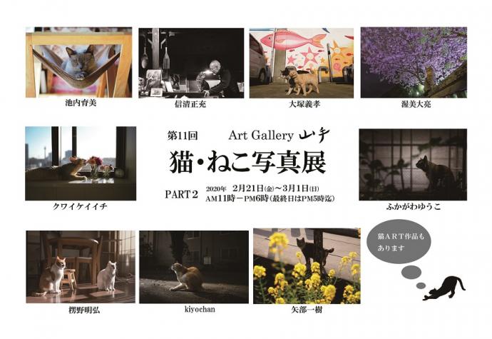 第11回 猫・ねこ写真展 part2 第11回 猫・ねこ写真展 part2