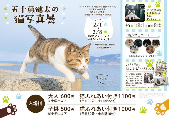 五十嵐健太の「飛び猫」写真展 五十嵐健太の「飛び猫」写真展