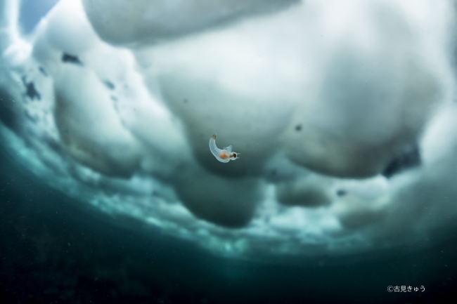 古見きゅう写真展「JAPAN’S SEA」