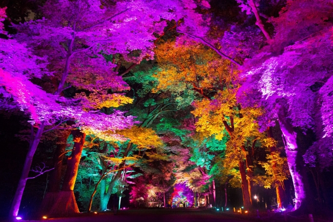 チームラボ 栗林公園 光の祭 チームラボ 栗林公園 光の祭