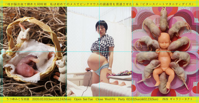 うつゆみこ写真展 母が脳出血で倒れた同時刻に私は初めてのメスでピンクマウスの頭蓋骨を貫通させた 他 Shareart うつゆみこ写真展 母が脳出血で倒れた同時刻に私は初めてのメスでピンクマウスの頭蓋骨を貫通させた 他 Shareart