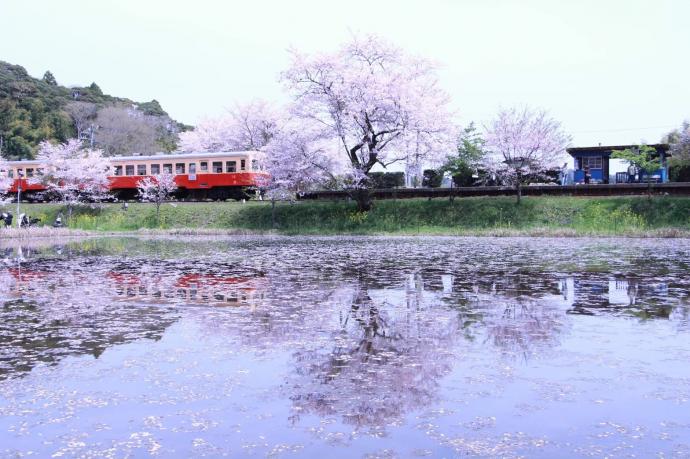 【開催延期】房総里山芸術祭 いちはらアート×ミックス2020 【開催延期】房総里山芸術祭 いちはらアート×ミックス2020