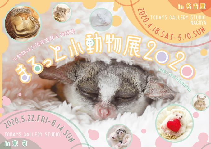 まるっと小動物展 2020 in 名古屋 まるっと小動物展 2020 in 名古屋