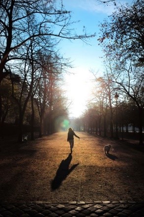 写真家・大杉隼平の個展「scenes in mind」