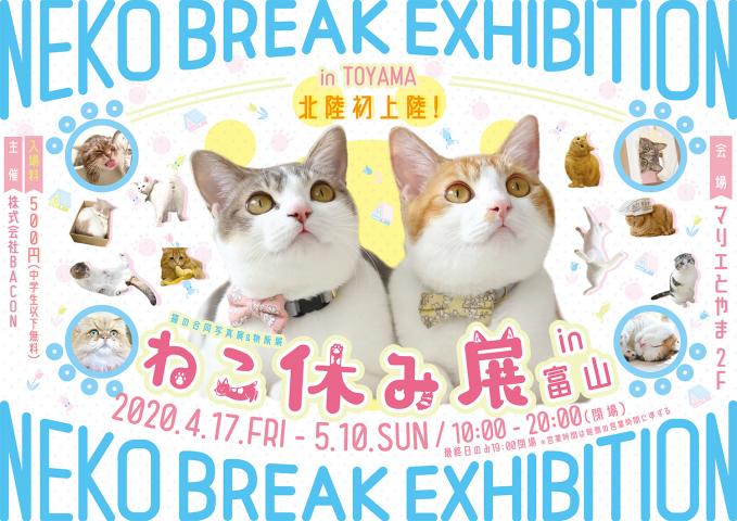 猫の合同写真展&物販展「ねこ休み展 in 富山」 猫の合同写真展&物販展「ねこ休み展 in 富山」