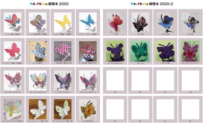 パペラ蝶の標本箱 パペラ蝶の標本箱