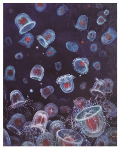 齋藤赤絵個展 齋藤赤絵個展