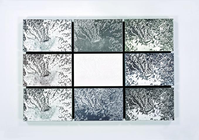 第8回FEI PRINT AWARD準大賞者 白木原麻紀 銅版画展 第8回FEI PRINT AWARD準大賞者 白木原麻紀 銅版画展