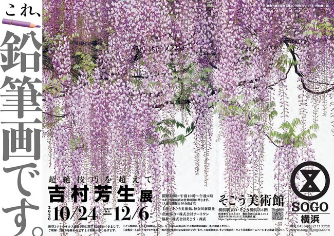 超絶技巧を超えて 吉村芳生展 超絶技巧を超えて 吉村芳生展