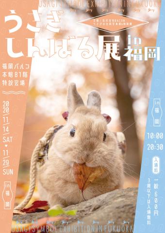 うさぎの合同写真展&物販展「うさぎしんぼる展 in 福岡」 うさぎの合同写真展&物販展「うさぎしんぼる展 in 福岡」