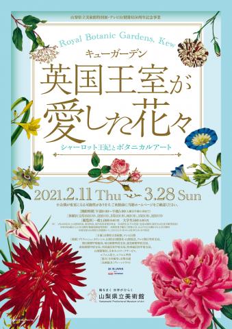 キューガーデン 英国王室が愛した花々 シャーロット王妃とボタニカルアート キューガーデン 英国王室が愛した花々 シャーロット王妃とボタニカルアート