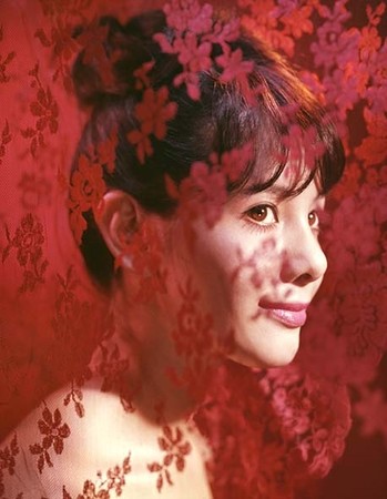 フジフイルム スクエア 写真歴史博物館 企画写真展 大竹省二 「カラー写真が夢見た時代 COLOR DREAMS」 フジフイルム スクエア 写真歴史博物館 企画写真展 大竹省二 「カラー写真が夢見た時代 COLOR DREAMS」