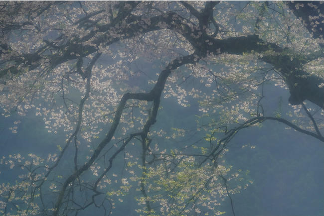 井上嘉代子写真展「美sit風景−奏(かなで)−」 井上嘉代子写真展「美sit風景−奏(かなで)−」