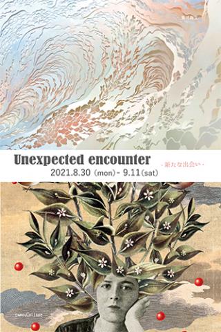 Unexpected encounter- 新たな出会い- Unexpected encounter- 新たな出会い-