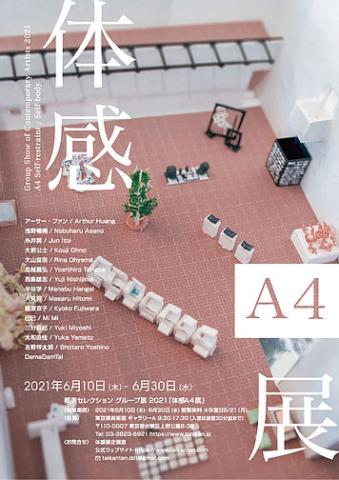 体感A4展