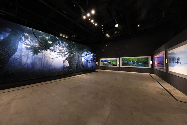 NATURE AQUARIUM EXHIBITION 2021 TOKYO NATURE AQUARIUM EXHIBITION 2021 TOKYO