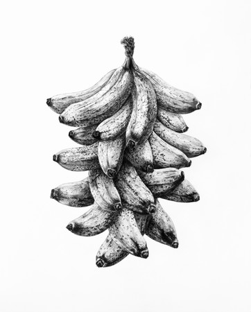 片山高志 個展「矩形の庭」― 銀座 蔦屋書店ART PARTY 2021.07-08 片山高志 個展「矩形の庭」― 銀座 蔦屋書店ART PARTY 2021.07-08