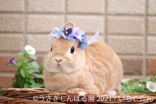 うさぎしんぼる展 2021 うさぎしんぼる展 2021