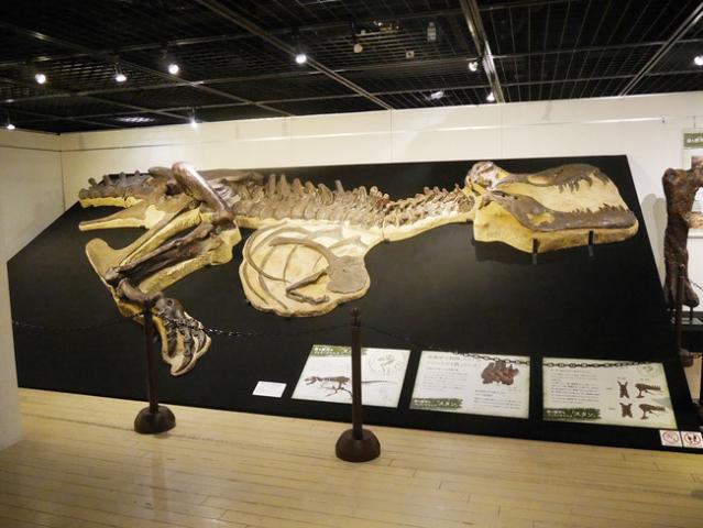 Gr8!こぶりな恐竜展 Gr8!こぶりな恐竜展