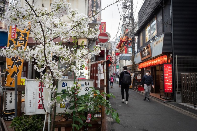 足立君江 写真展「東京の横丁一本桜」 足立君江 写真展「東京の横丁一本桜」