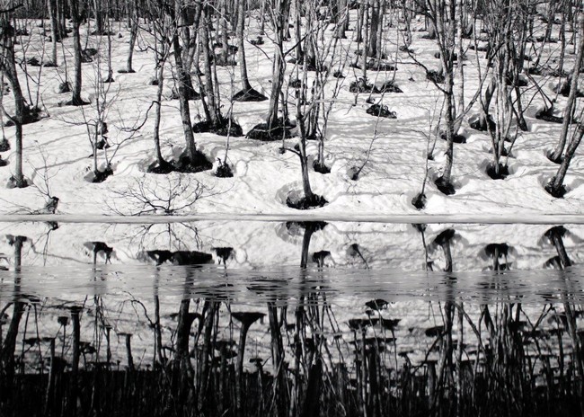 第25回写真展「光への探求」 第25回写真展「光への探求」