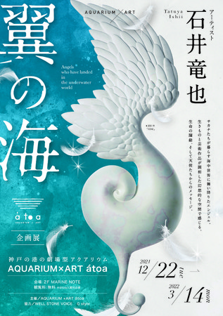 翼の海 翼の海