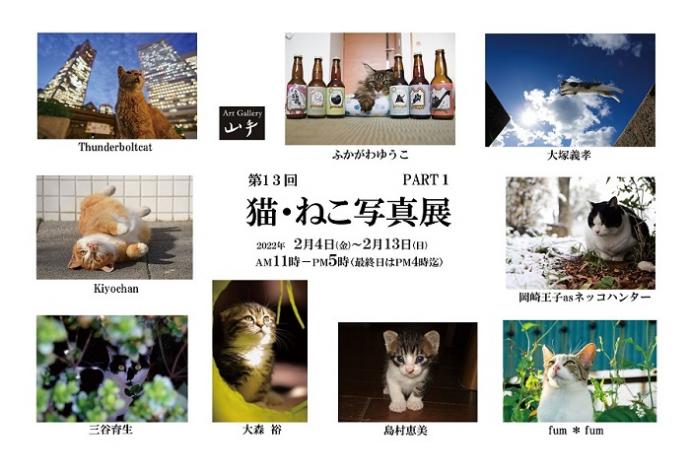 アートギャラリー山手　第１３回　猫・ねこ写真展　PART1